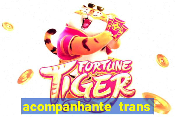 acompanhante trans porto seguro